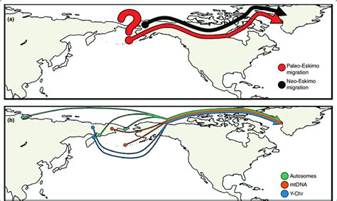 Archaeological and genetic evidence for the peopling of Greenland. (a ...