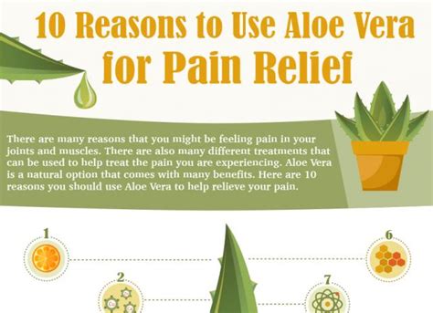 10 Reasons to Use Aloe Vera for Pain Relief | Real Time Pain Relief