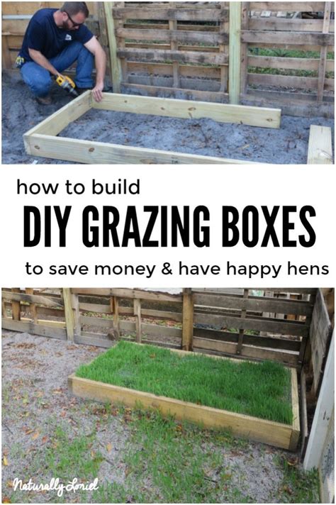 DIY Grazing Boxes