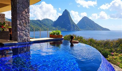 Cyber Monday HelPaws Special | Jade Mountain St Lucia - St Lucia's Most ...