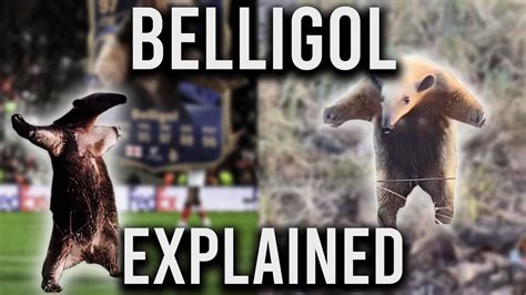 Belligol Meme Explained (Jude Bellingham celebration meme) - YouTube