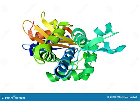 Crystal Structure of the KPC-2 Beta-lactamase in Complex with ...