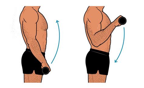 The 3 Best Exercises for Building Bigger Forearms