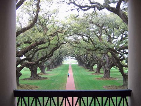 Oak Alley Plantation Guided Tour With Transportation From The French ...