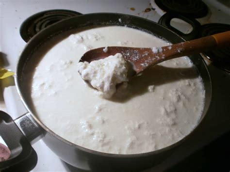 Quick Homemade Cottage Cheese with Vinegar