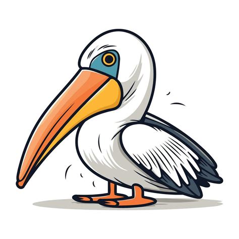 Pelican vector illustration. Cartoon pelican isolated on white ...