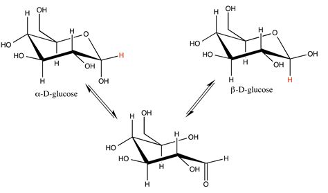 Benchtop Biochemistry: Looking at Glucose Anomers with Spinsolve | Magritek