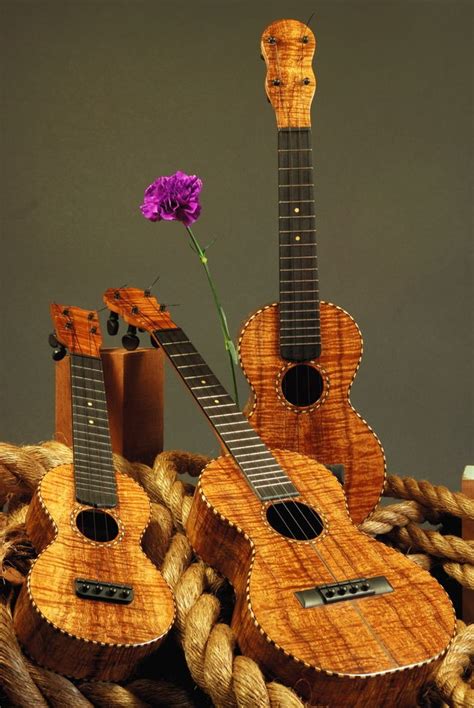 ukulele s | Vintage ukulele, Ukulele music, Ukulele design