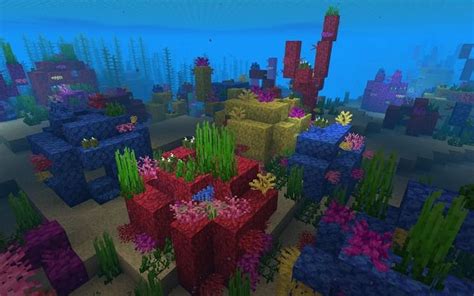 Every type of coral in Minecraft and how to get them