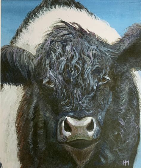 Belted Galloway Cow Oreo Cow Art Print Portrait With Blue - Etsy UK