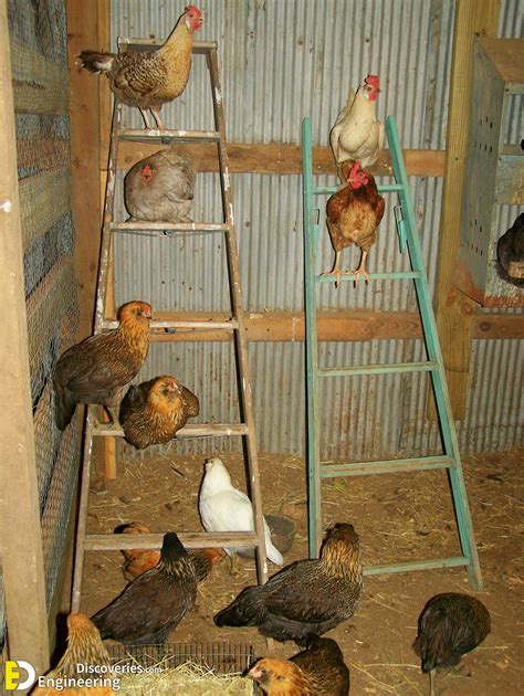 50 Beautiful DIY Chicken Coop Ideas You Can Actually Build ...