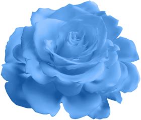 Download blue rose transparent png images background | TOPpng