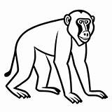 100  Baboon Coloring Pages For Free • Lulu sketch template