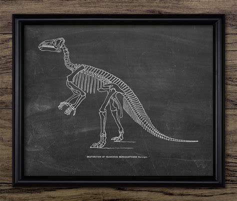 Iguanodon Skeleton Anatomy Printable Dinosaur Ornithopod - Etsy