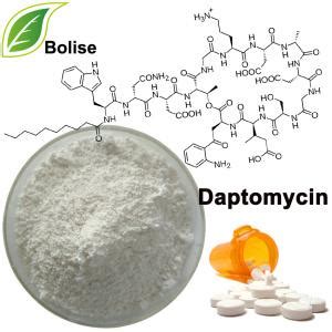 Daptomycin Cas 103060-53-3 Price,Supplier from Bolise