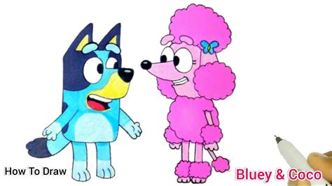 Bluey & Coco BEST FRIENDS | How To Draw Bluey & Coco From Bluey ...