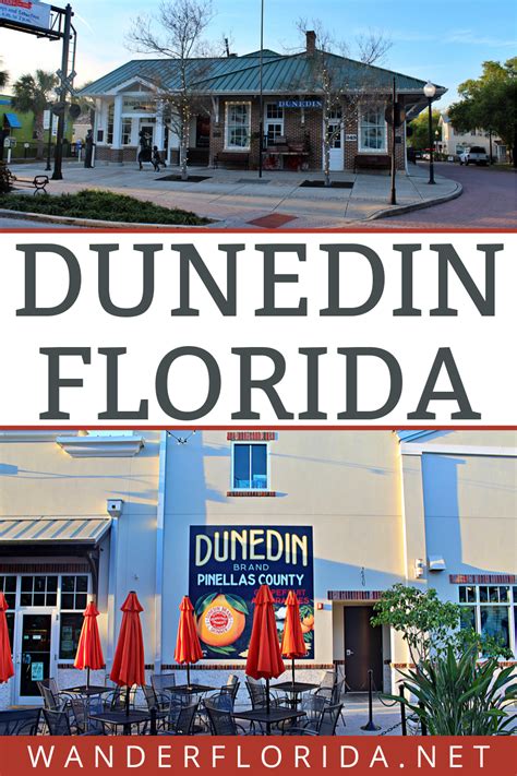 15 amazing things to do in dunedin florida – Artofit