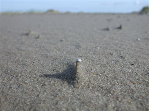 Image*After : textures : pile of sand on beach shore coast