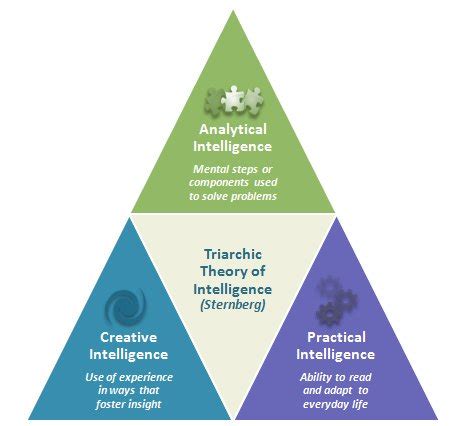 Model Sternberg S Triarchic Theory Of Intelligence - sharedoc