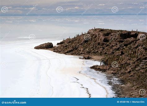 Cactus Island, Salar De Uyuni Stock Photo - Image of highlands, mineral ...