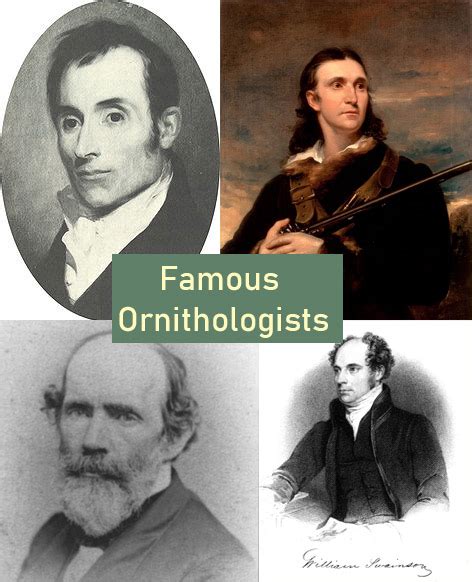 Top 10 Famous Ornithologist Who Have a Bird Named After Them