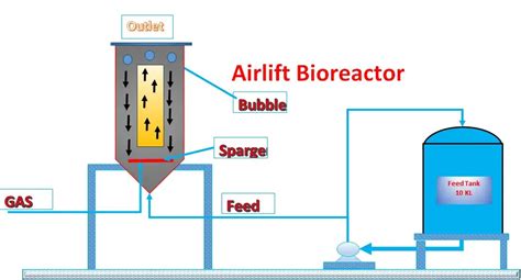 Airlift Bioreactor - Working, Types, Design, Parts, Specification (pdf) 4.0