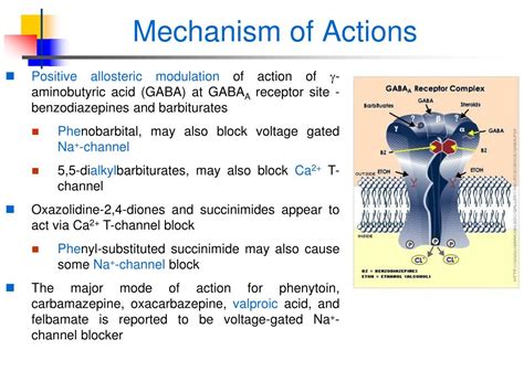 Mechanism Of Drug Action