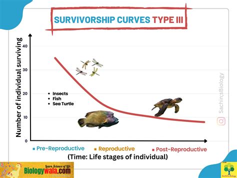 Survivorship Curves: All Types And Their Important Examples, 41% OFF