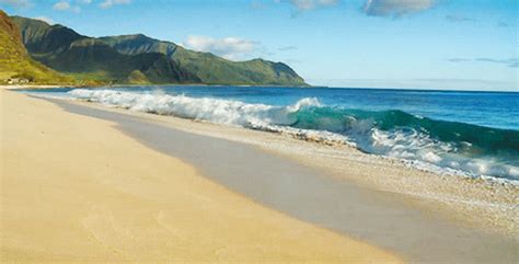 Beach Wave GIFs - Find & Share on GIPHY