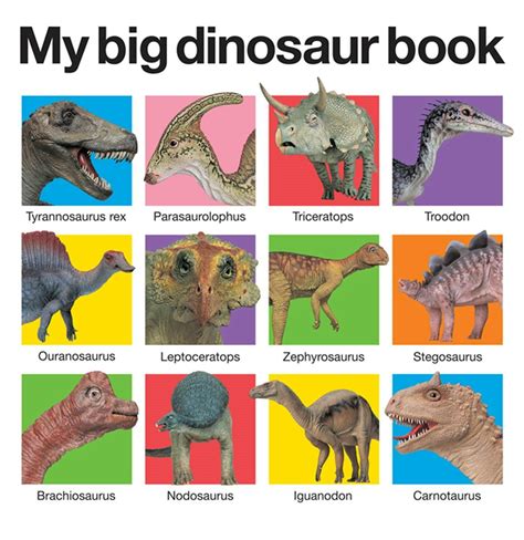 My Big Dinosaur Book