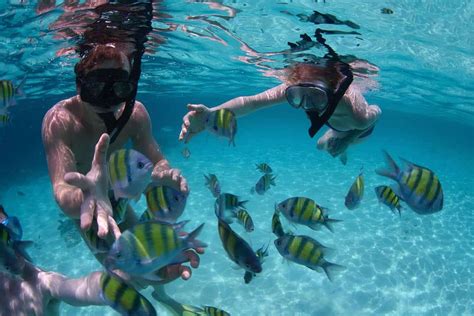 THE BEST SNORKELLING AND DIVING LOCATIONS IN PAPUA NEW GUINEA - Travel ...