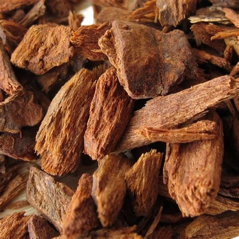 Red Cinchona Bark Whole - Cinchona Pubescens Vahl