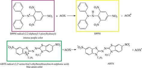 SciELO - Brasil - Determination of the Antioxidant Capacity of Red ...