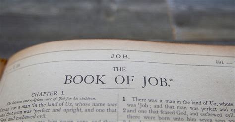 Book Of Job Summary By Chapter - An Introduction To Job Man S Search For God S Justice Through ...