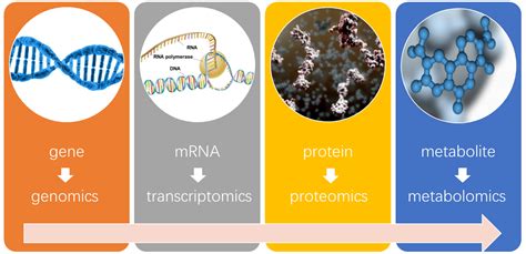 ?What is Metabolomics | gutmicrobiotaforhealth