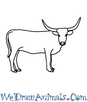 How to Draw a Longhorn Cattle