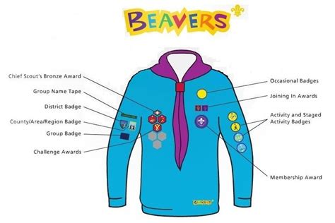 Beaver Uniform - Central Taunton Scout Group