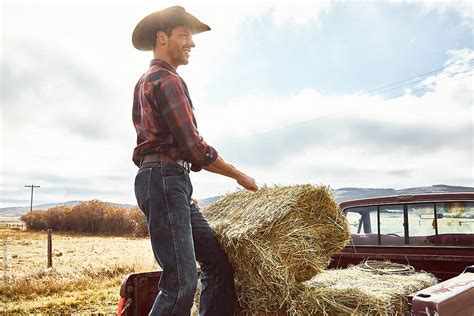 "Cowboy Throwing Hay Into His Truck" by Stocksy Contributor "Shaun ...