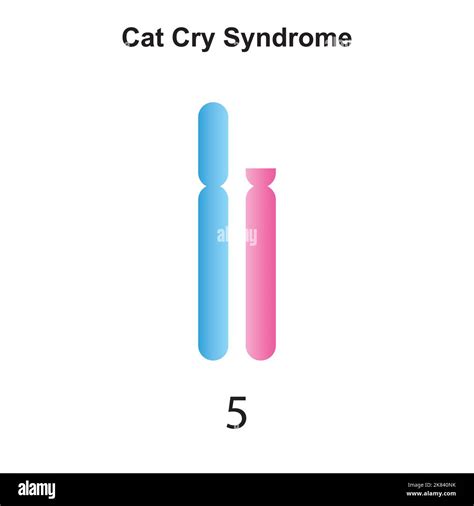 Scientific Designing of Cat Cry Syndrome. Colorful Symbols. Vector ...