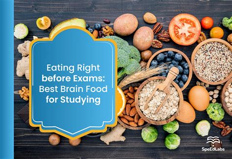 Eating Right before Exams: Best Brain Food for Studying - SpeedLabs Blog