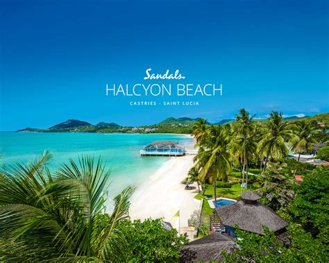 Sandals® Halcyon Beach: All-Inclusive Resort [Official Website]