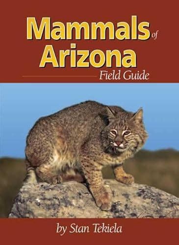 Mammals of Arizona Field Guide (Mammal Identification Guides) by Stan ...