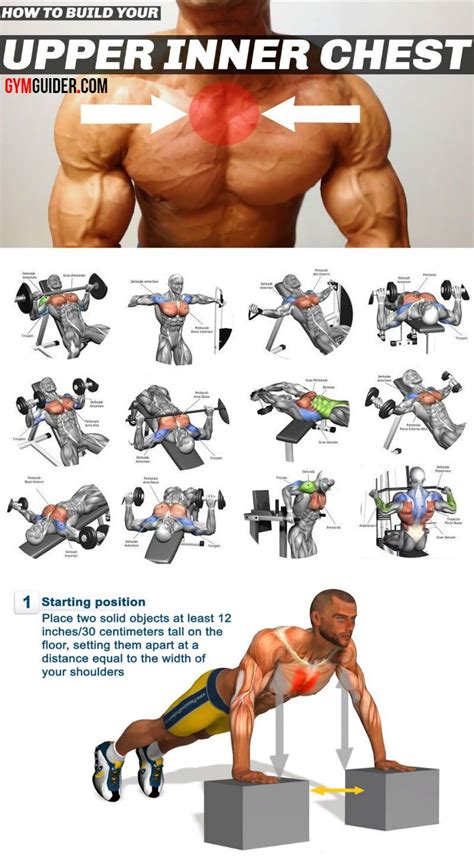 chest workouts - Google Search | Bài tập ngực, Bài tập gym, Thể dục