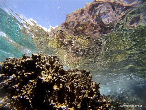 Snorkeling the Indians in the British Virgin Islands - svIslandSpirit.com