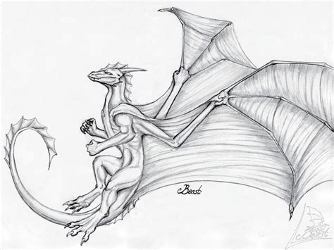 flying dragon by Beast3 on DeviantArt