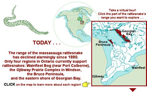 Massasauga Rattlesnake Range Module