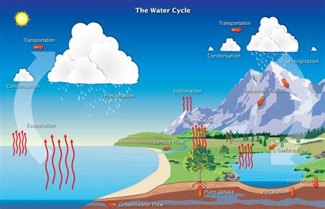 Hydrologic Cycle | Precipitation Education