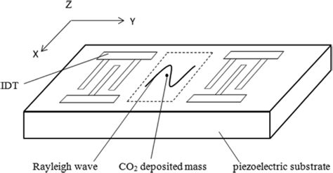 Schematic of surface acoustic wave sensor. | Download Scientific Diagram