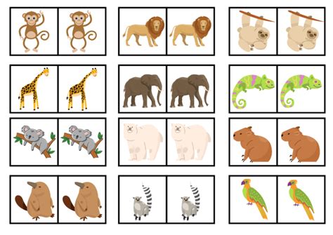 Free Printable Zoo Memory Matching Game - LovingHomeschool.com