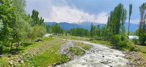 Gulmarg | Best Time to Visit | Things to Do | Travel, Stay, Packages, Activities - MakeMyTrip